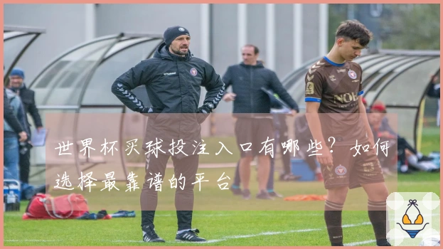 世界杯买球投注入口有哪些？如何选择最靠谱的平台