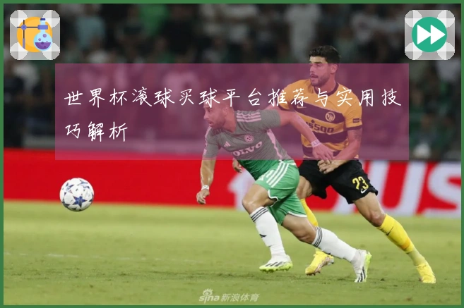 世界杯滚球买球平台推荐与实用技巧解析
