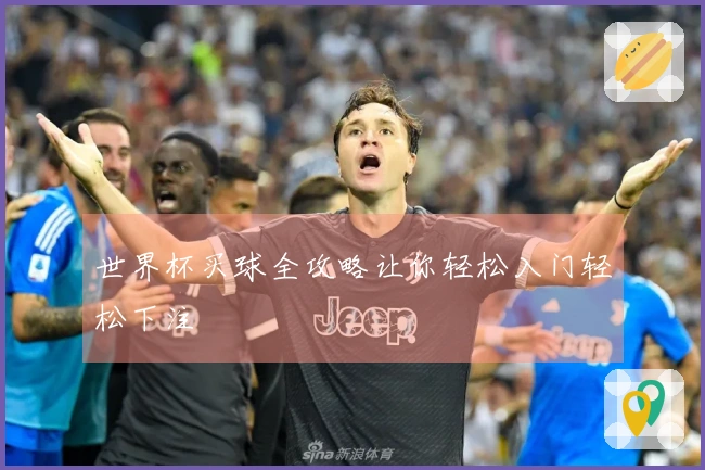 世界杯买球全攻略让你轻松入门轻松下注