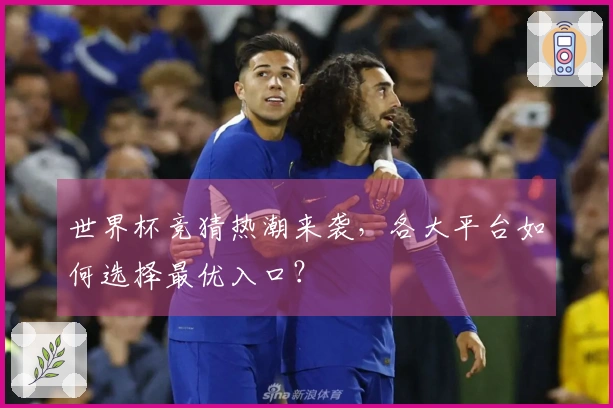 世界杯竞猜热潮来袭，各大平台如何选择最优入口？