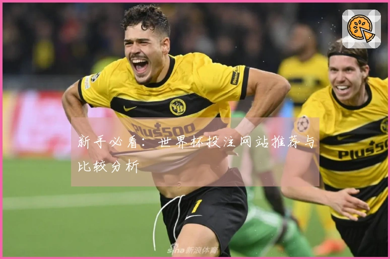 新手必看：世界杯投注网站推荐与比较分析