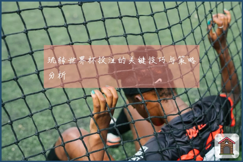玩转世界杯投注的关键技巧与策略分析