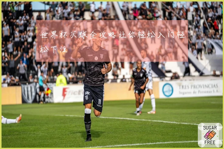 世界杯买球全攻略让你轻松入门轻松下注