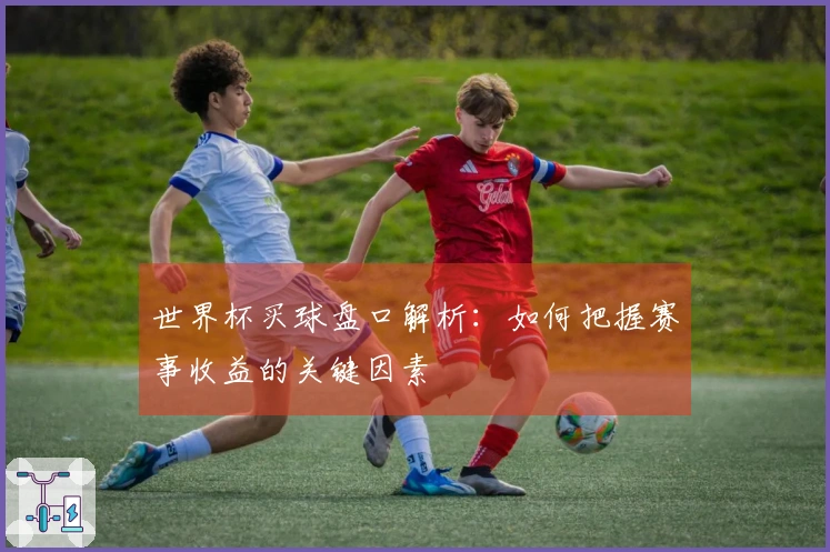 世界杯买球盘口解析：如何把握赛事收益的关键因素