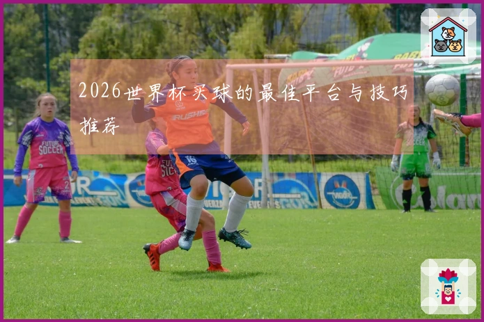2026世界杯买球的最佳平台与技巧推荐