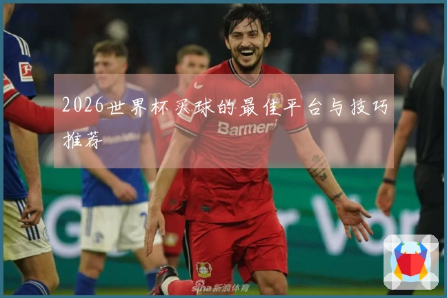 2026世界杯买球的最佳平台与技巧推荐