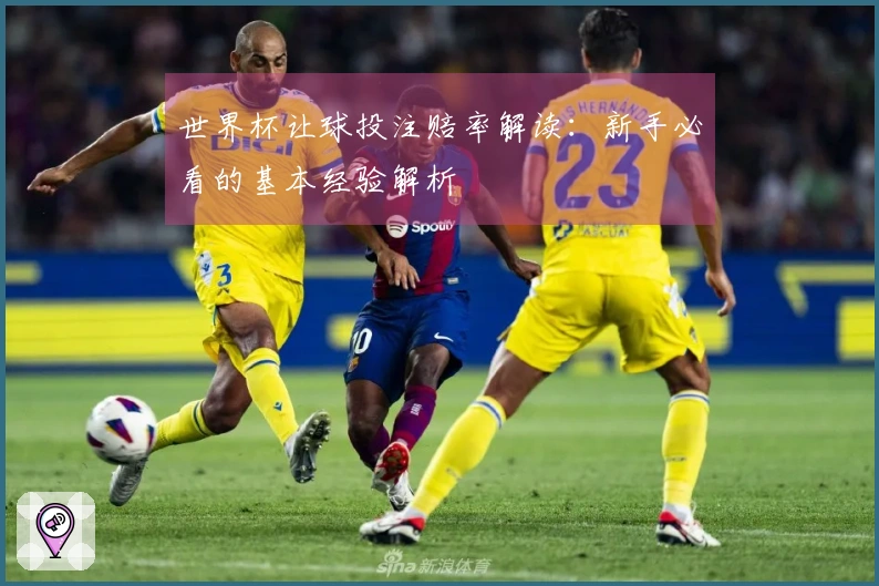 世界杯让球投注赔率解读：新手必看的基本经验解析