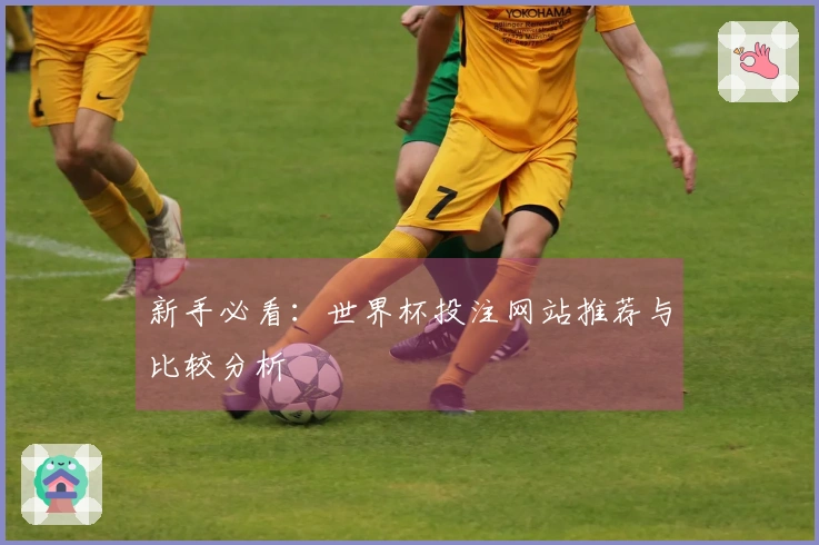 新手必看：世界杯投注网站推荐与比较分析