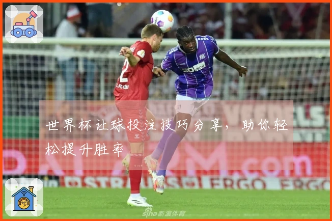 世界杯让球投注技巧分享，助你轻松提升胜率